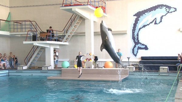 В преддверии месяца Рамадан мусульмане организовали для детей поход в дельфинарий