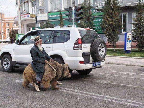 Как старик и медведица стали символом современного Душанбе