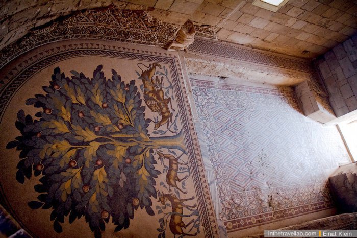 Дворец мусульманского правителя: самая большая загадка Иерихона (ФОТО)