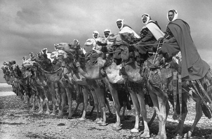 «Верблюжья кавалерия» недалеко от Дамаска
