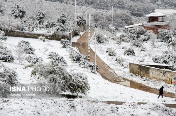 Снег окутал северные провинции Ирана (Фото)