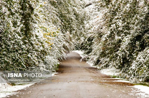 Снег окутал северные провинции Ирана (Фото)