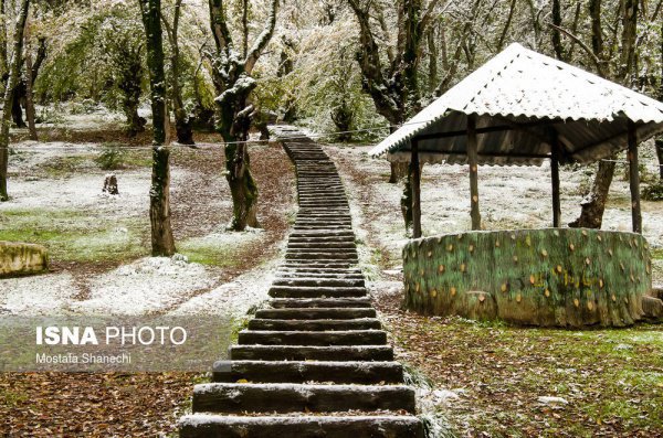 Снег окутал северные провинции Ирана (Фото)