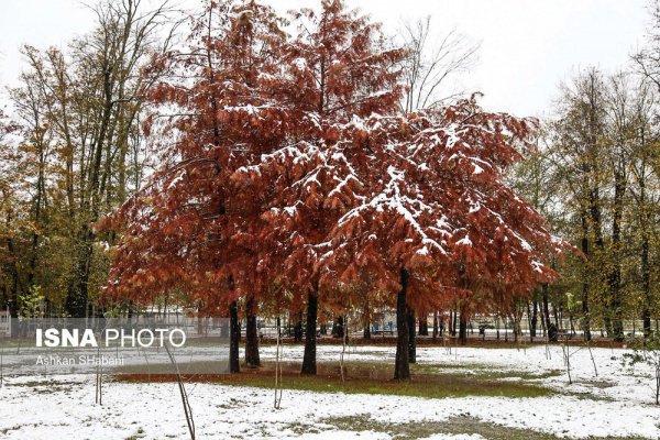 Снег окутал северные провинции Ирана (Фото)