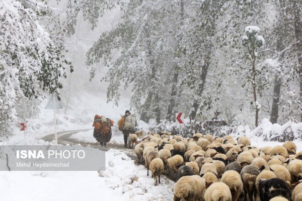 Снег окутал северные провинции Ирана (Фото)