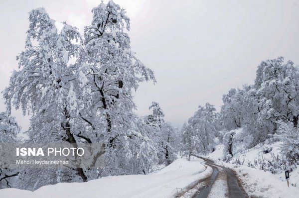 Снег окутал северные провинции Ирана (Фото)
