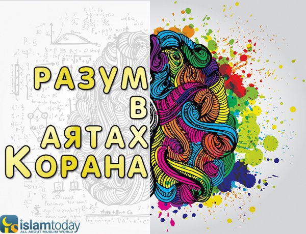 Книга Сквозь Призму Ислама