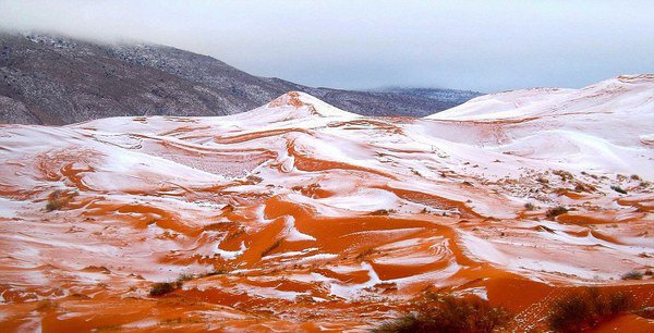 В пустыне Сахара впервые за почти 40 лет выпал снег (Фото)