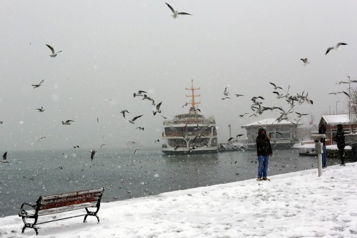 Небывалые снегопады покрыли Стамбул почти полуметром снега
