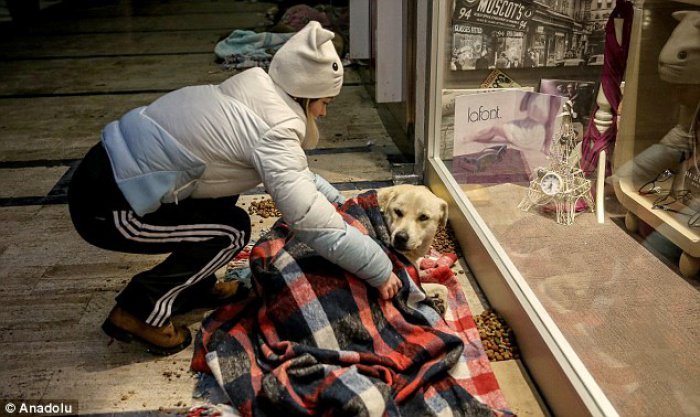 Волонтерская акция в Стамбуле растрогала пользователей Сети