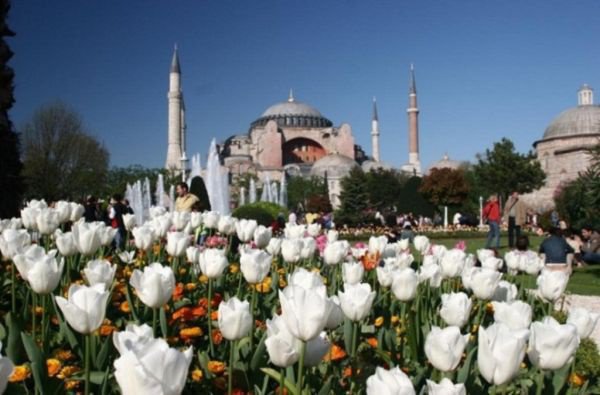 Стамбул расцвел миллионами тюльпанов