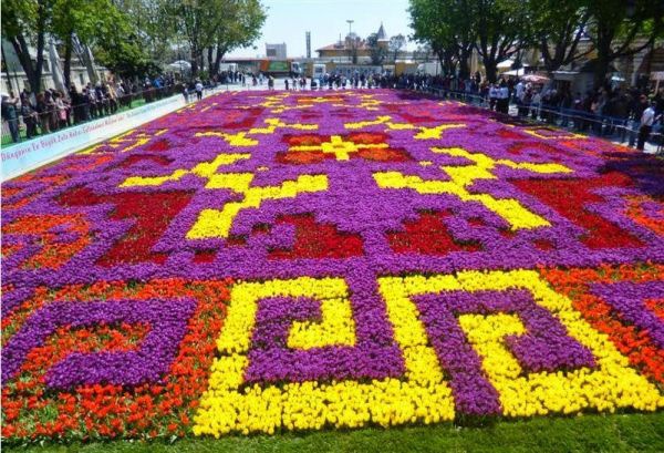 Стамбул расцвел миллионами тюльпанов