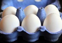 Названо количество яиц, которое можно есть каждый день