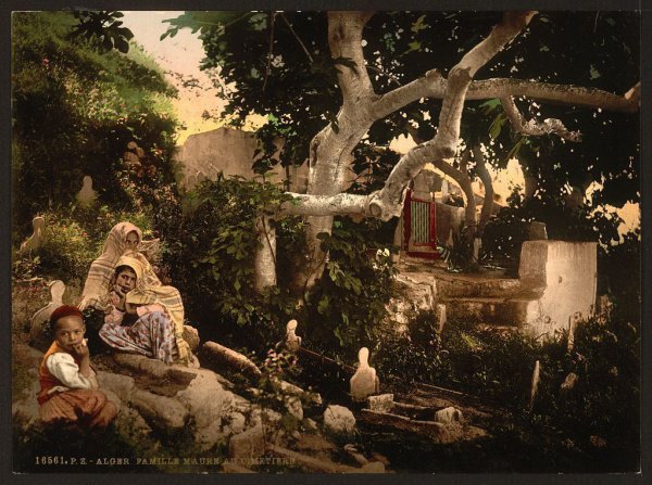 Путешествие во времени: цветные фотографии Алжира 1899 года