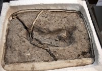 Обнаруженный в Чили человеческий след оказался самым древним