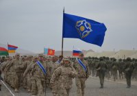 Военные учения ОДКБ пройдут в России, Киргизии и Таджикистане