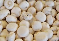 Медики рассказали о полезных свойствах грибов