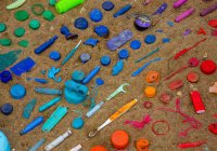 В Германии в организме детей нашли 11 видов пластика