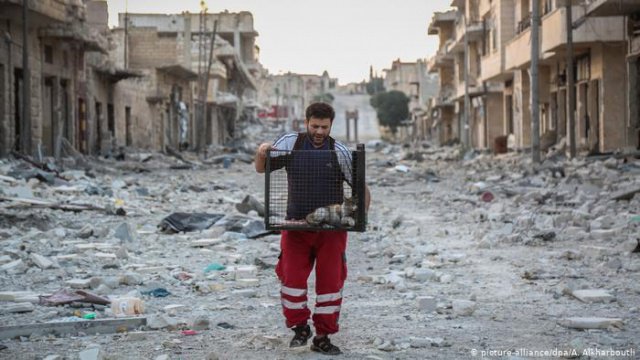 Как сириец стал Абу Хурайрой 21 века. Самые трогательные фото