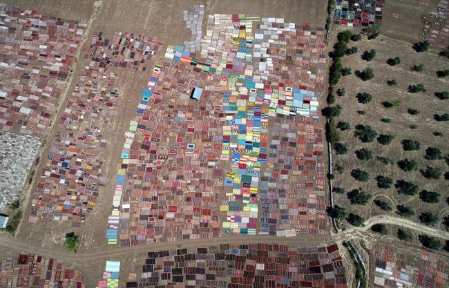 Такого вы еще не видели: 25 тысяч ковров ручной работы выгорают под солнцем 
