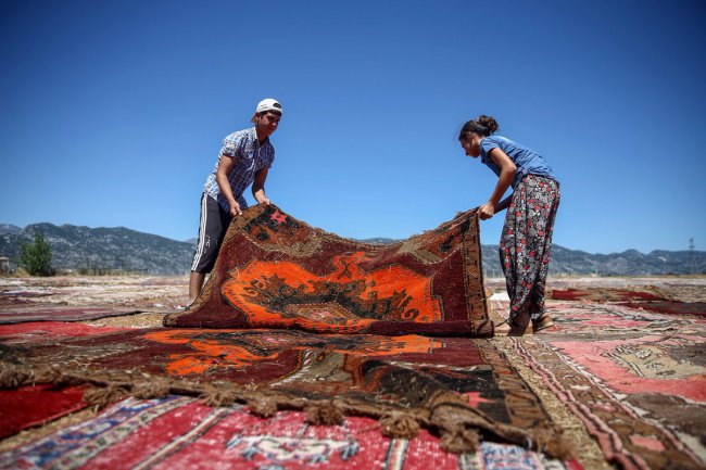 Такого вы еще не видели: 25 тысяч ковров ручной работы выгорают под солнцем 