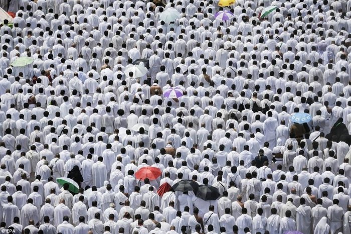 Вы еще не видели столько мусульман в одном месте (Фото)