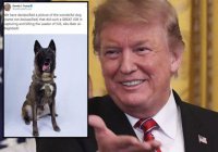 Трамп: The New York Times приписала собаке все заслуги по ликвидации аль-Багдади