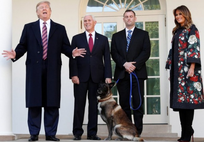 Трамп вручил собаке медаль и грамоту. 