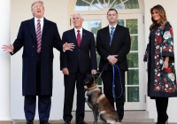 Трамп наградил собаку, участвовавшую в ликвидации аль-Багдади