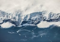 Новый температурный рекорд зафиксировали в Антарктиде 