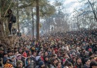 Более 76 тысяч беженцев пересекли границы Турции с Евросоюзом