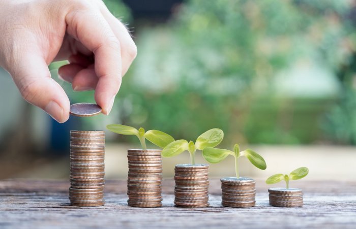 Фото: Bluesandisland/elements.envato.com Фото: Bluesandisland/elements.envato.com