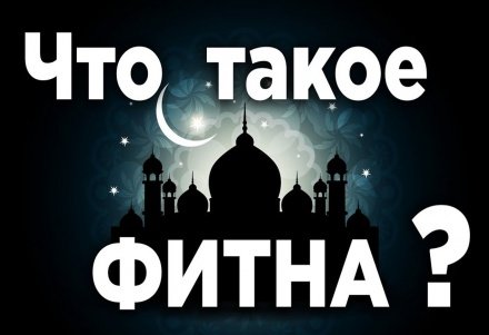 Что такое фитна