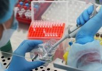Россия передала странам ЕАЭС 70 тысяч тестов на коронавирус