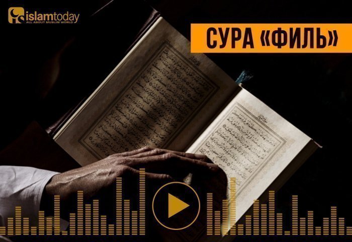 Сура аль филь картинки