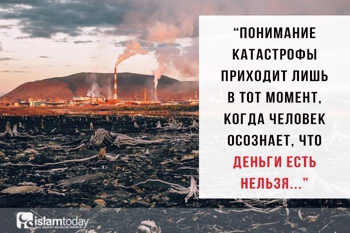 Экологическая катастрофа. (Источник фото: yandex.ru) 