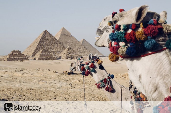 Призыв к сносу египетских пирамид. (Источник фото: freepik.com) 