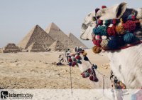 Протестная волна докатилась до египетских пирамид