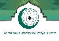 Итоги онлайн-конференции «15 лет партнерства Российской Федерации и Организации исламского сотрудничества»