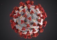 Инфекционист предупредил об опасной мутации коронавируса
