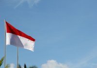 Правительство Индонезии потратило $6 млн на продвижение позитивного образа в соцсетях