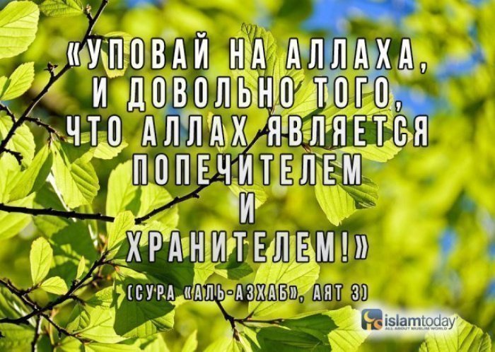 Что значит уверовать в аллаха