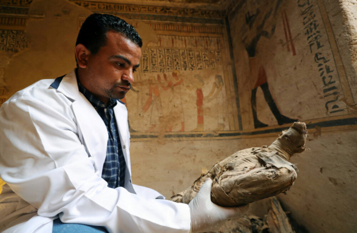 Ученые проанализировали происхождение мумий птиц в Египте.
