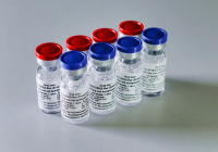 Россия поставит в Египет 25 млн доз вакцины от коронавируса