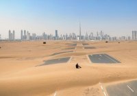 Власти Дубая начали генеральную уборку пустыни