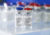 Малайзия намерена закупить российскую вакцину от коронавируса 