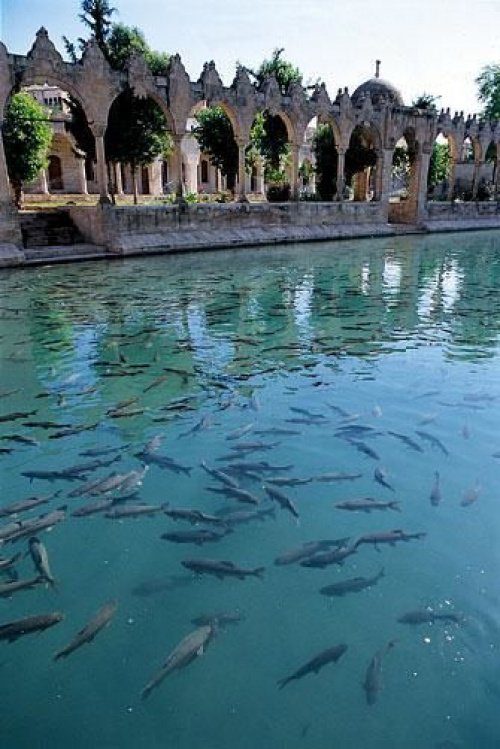 Знаменитое «Рыбное озеро » или «Озеро Ибрахима»