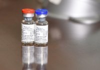 Алжир первым в Африке зарегистрировал российскую вакцину «Спутник V»