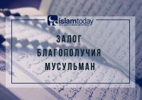 Залог благополучия мусульман: брать знания у верных и больших ученых 