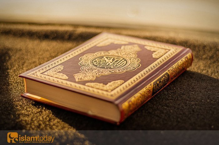 Чей иман Пророк Мухаммад (ﷺ) назвал зрелым? (Источник фото: unsplash.com) 
